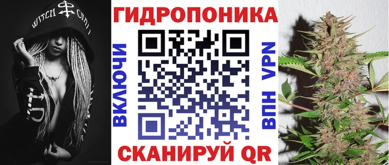 Бошки Шишки ГИДРОПОН  Купить  Бабаево 